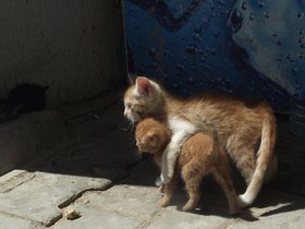 12-0618Merz (30).JPG